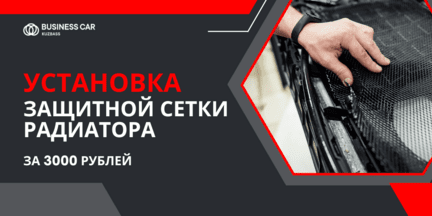 Установка защитной сетки радиатора всего за 3000 рублей