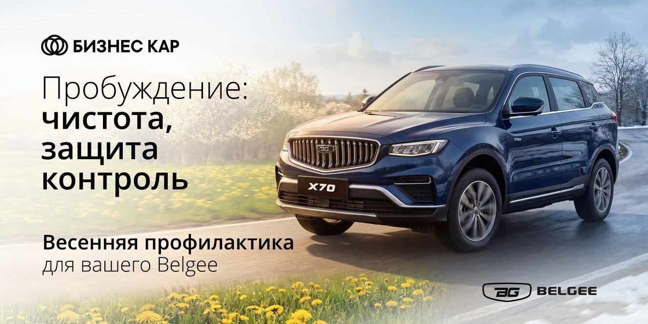 Весенняя профилактика для вашего Belgee!