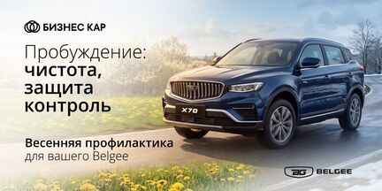 Весенняя профилактика для вашего Belgee!