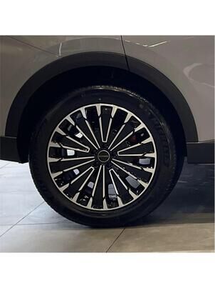 EXEED RX Premium